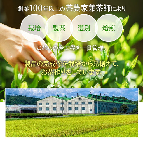 ノンカフェイン秋冬番茶 | 緑茶 ティーバッグ 4g×50p
